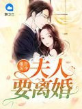 报告厉少:夫人要离婚