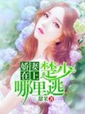 娇妻在上:楚少,哪里逃