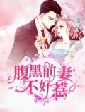 腹黑前妻不好惹