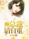 一婚成瘾:总裁请自重