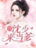 新婚计划:沈少,来当爹