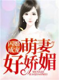 闪婚成宠,萌妻好娇媚