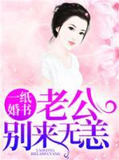 一纸婚书:老公别来无恙