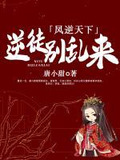 凤逆天下:逆徒别乱来