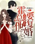 怀崽后,霍总他主动撩上门要复婚