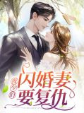 夜少的闪婚妻要复仇
