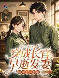 穿成长官早逝发妻,随军后多胎啦
