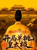 大明1629我崇祯开局单挑皇太极免费