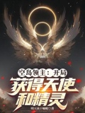 空岛领主:开局获得天使和精灵小说