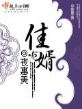 佳婿郎后续剧情